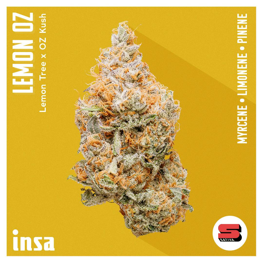 Flower - Lemon OZ