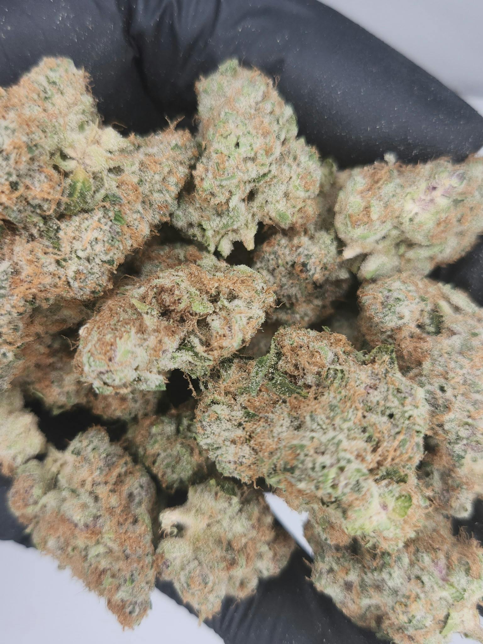 Product: Fresh Canna | Bulk Bud - Blue Dream