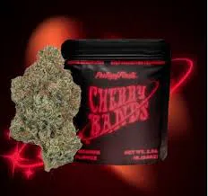 Cherry Bands | 3.5g | Poetry of Plants | Trinity - Glen Ave