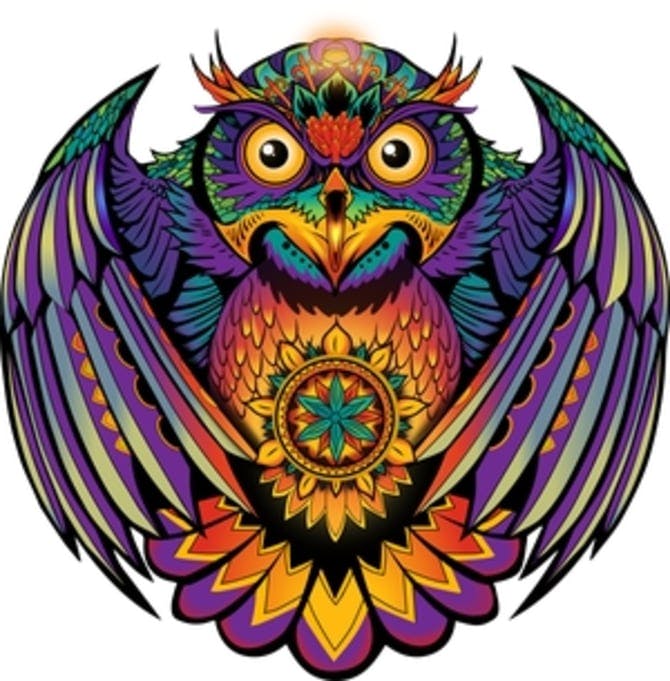 Michigander Fire - 1g Preroll - Larrys OG