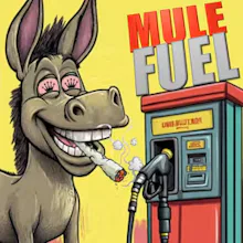 DELI - Mule Fuel - FLOWER by Holistic Industries at King of Budz