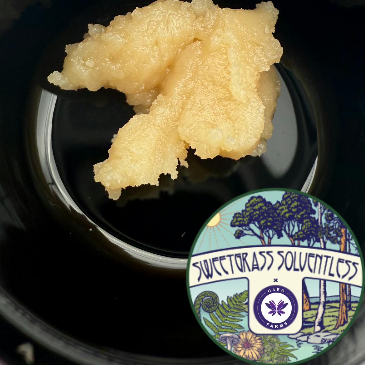 Photo of Sweetgrass Botanical Cherry Whip 1g Live Rosin
