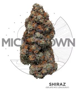 Product: MICHIGROWN | Shiraz | 3.5g