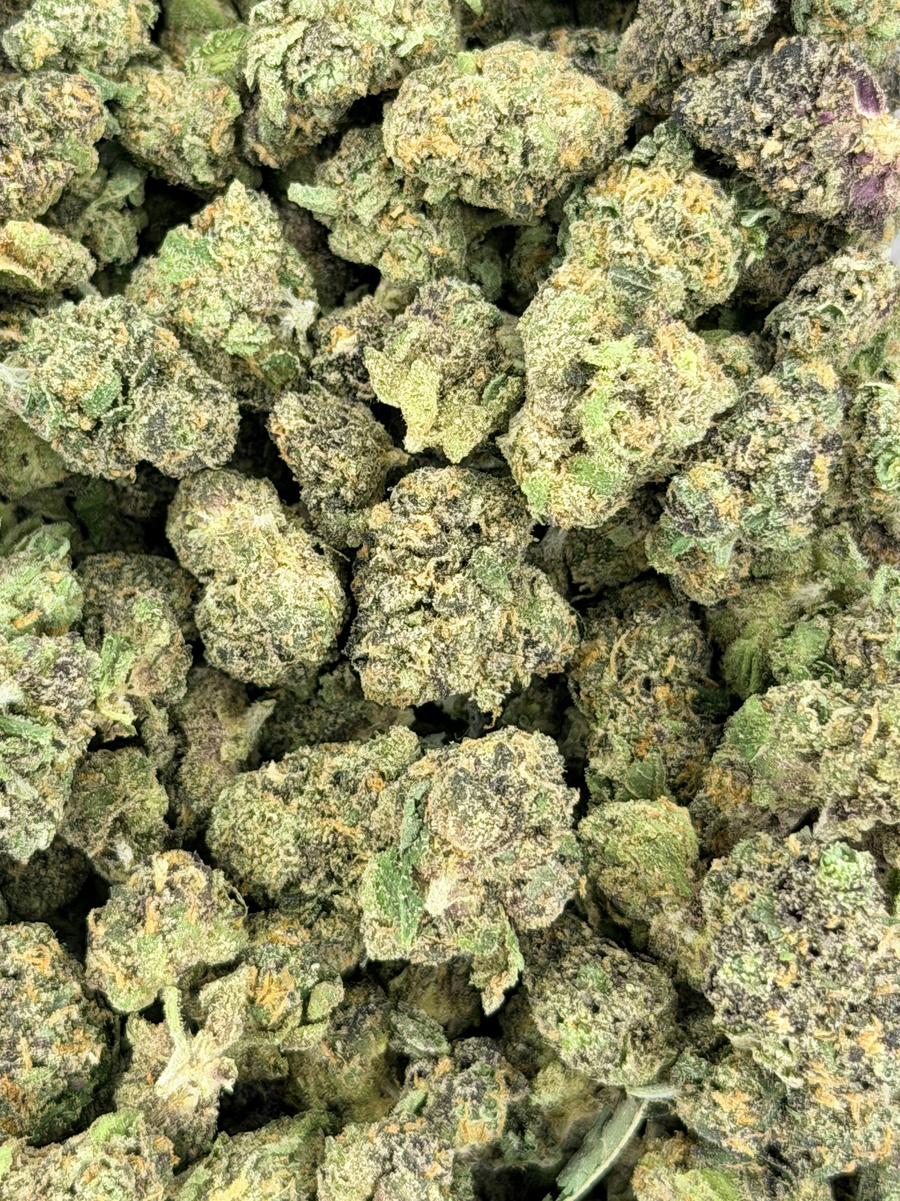 Blume | Candy Apple Runtz | Deli Flower Smalls (Bronze)