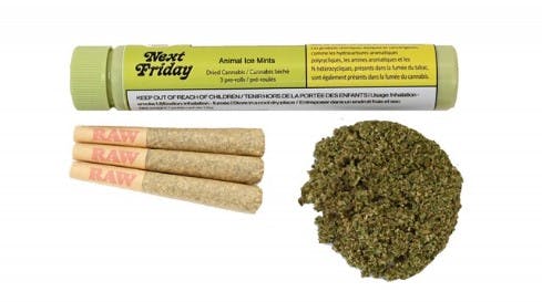 Animal Ice Mints Pre-Roll 3-pack | 1.5g