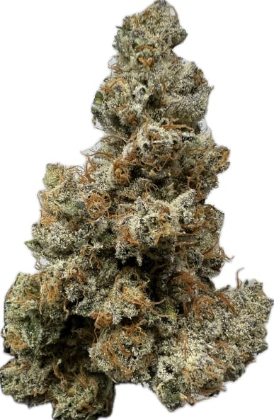 Product: Summertime Sativa | Smalls | Frosted Farms