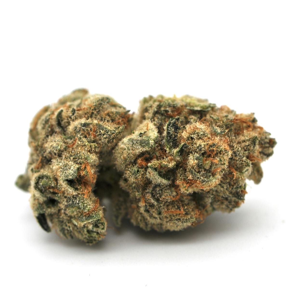 Image of Gary Poppins | Prepackaged Flower