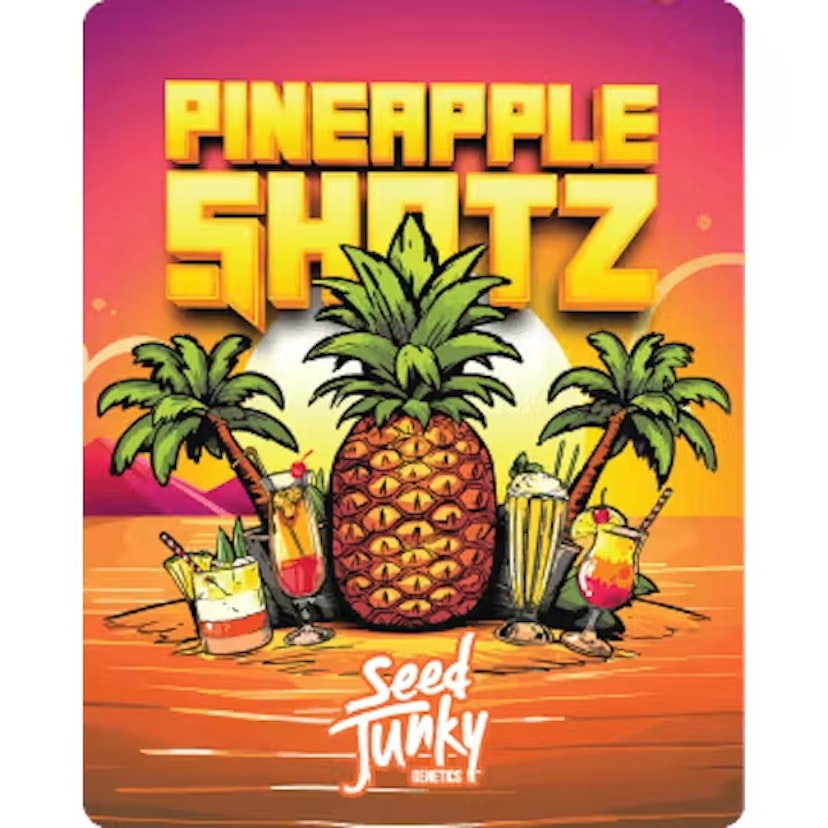 Seed Junky Prepackaged Flower | Pineapple Fruz