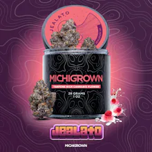 Michigrown - 28g Prepack Jar - Jealato
