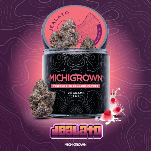 Michigrown - 28g Prepack Jar - Jealato