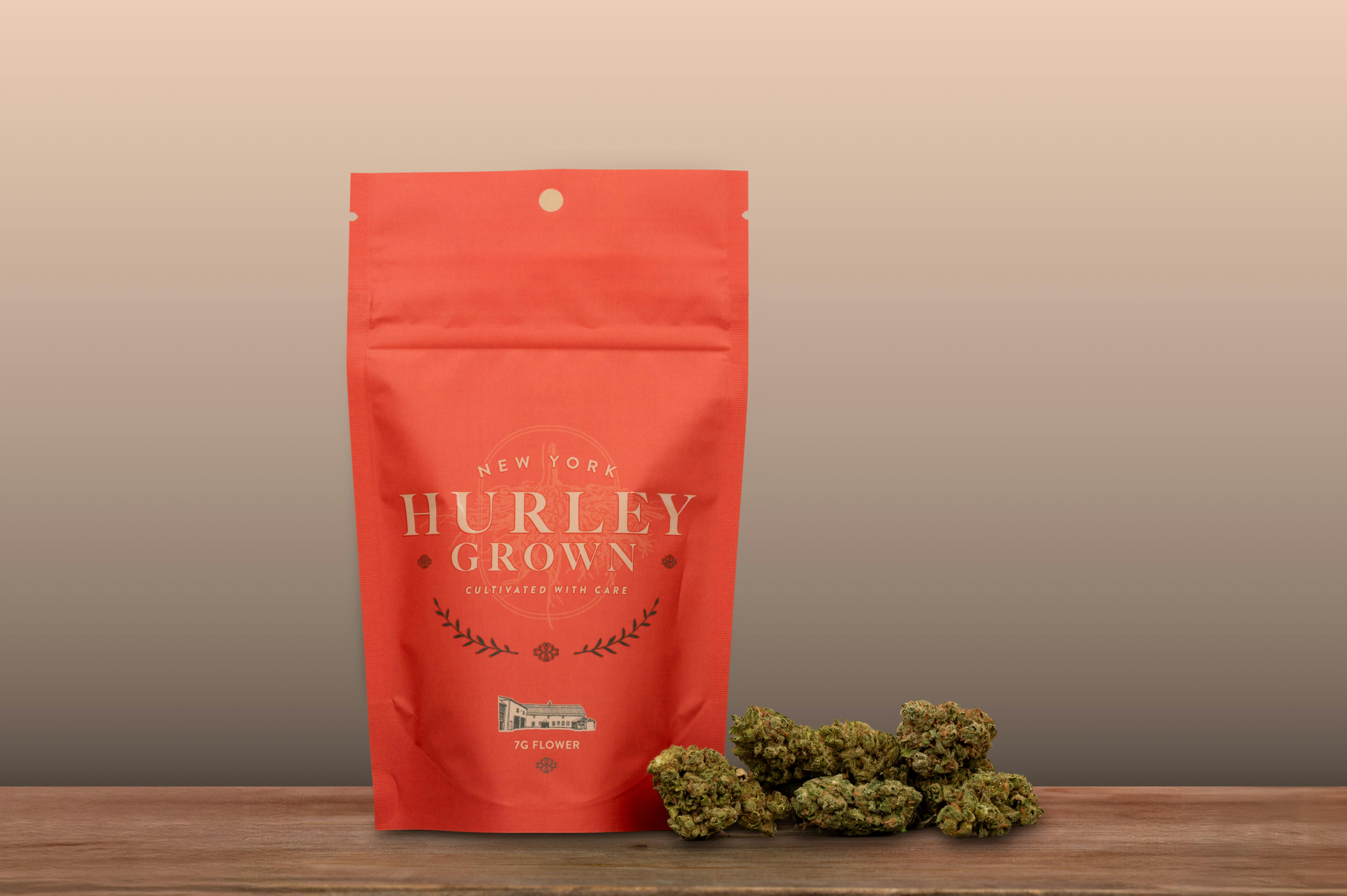 Twisted Vibrations - Retail