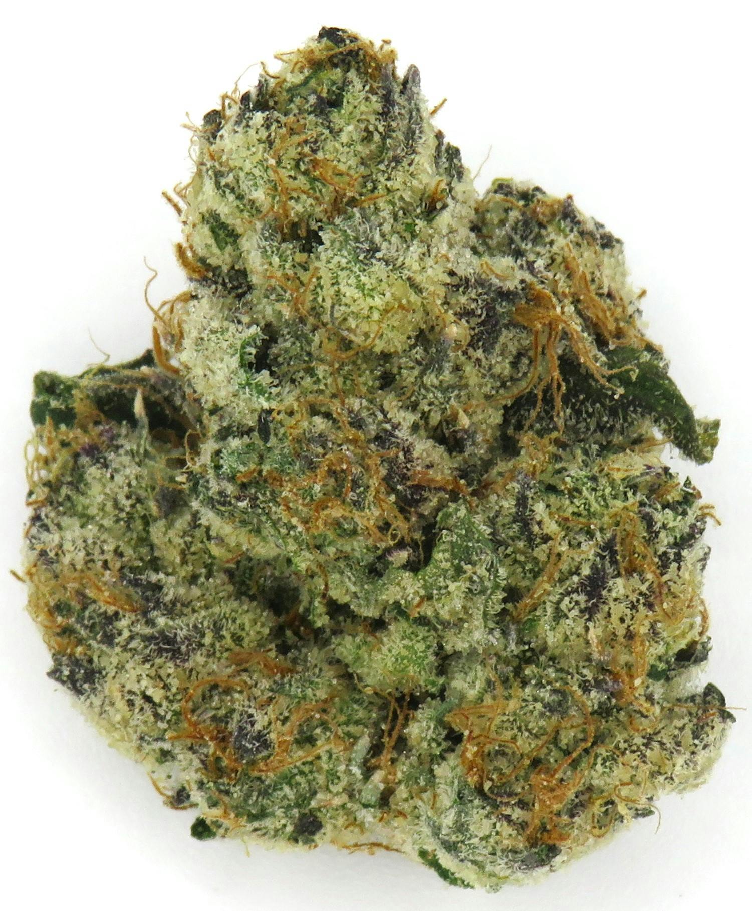 Product: MacFlurry | Pro Gro