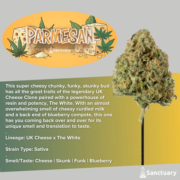 Parmesan (S) - 3.5g Flower - Sanctuary Medicinals