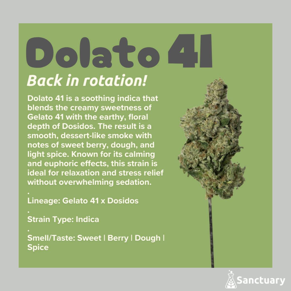 Sanctuary - Flower 3.5g - Dolato 41