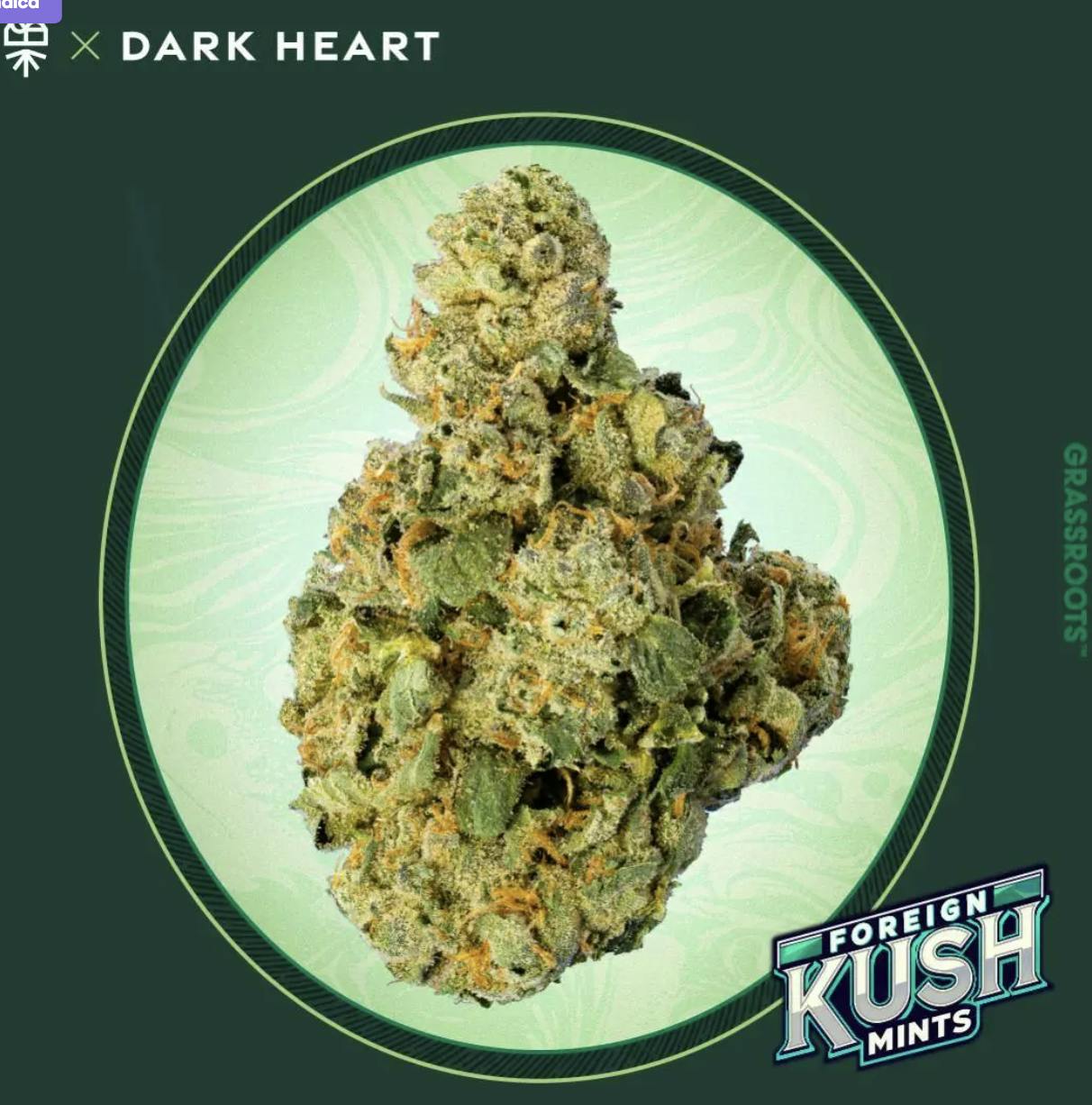 Grassroots Dark Heart Collection 3.5g- Foreign Kush Mints- Indica-1