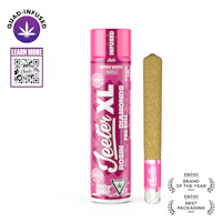 Berry White Jeeter XL Infused Pre-Roll | 2g - product image at King of Budz