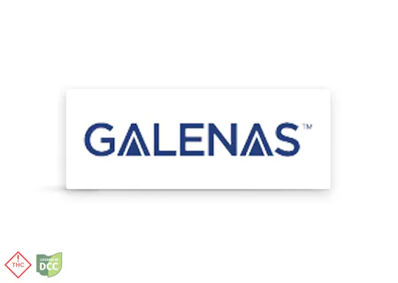 Image of Galenas- Solo Burger Hybrid
