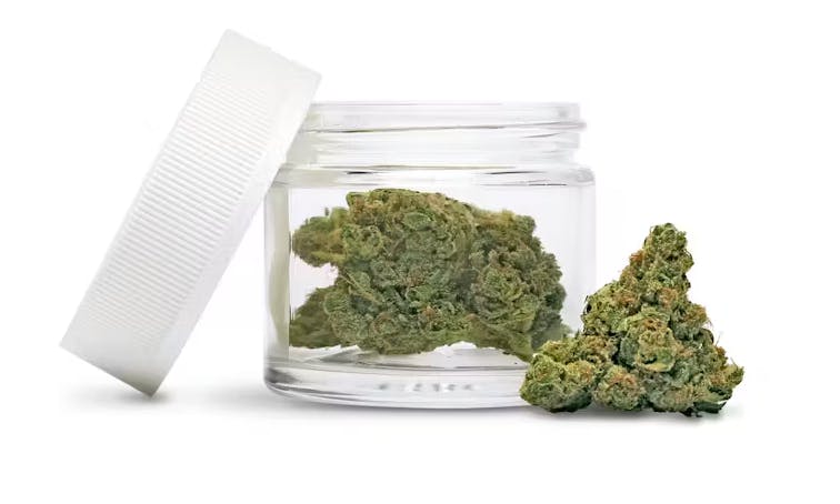 Tangie 3.0 - $30 3.5g Bag | Harborside (San Francisco)