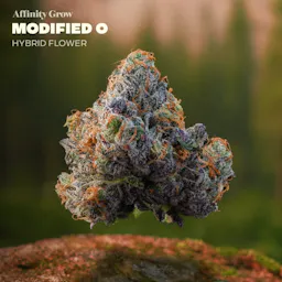 Modified O