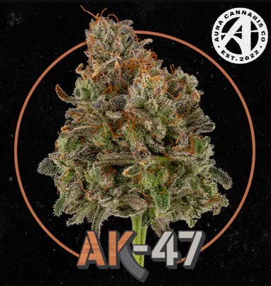 Product: Aura | AK-47 | Preroll - /3pk