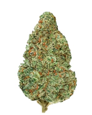 Chemzilla | High Ties (Orleans)