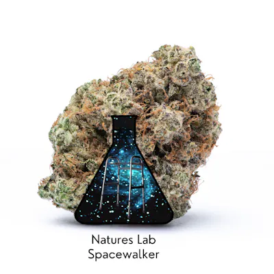 Spacewalker