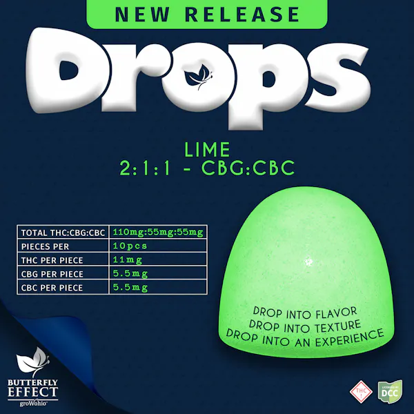 Camino 2:1 CBG:THC Freshly Squeezed Gummies 20pk Edibles | Kiva |