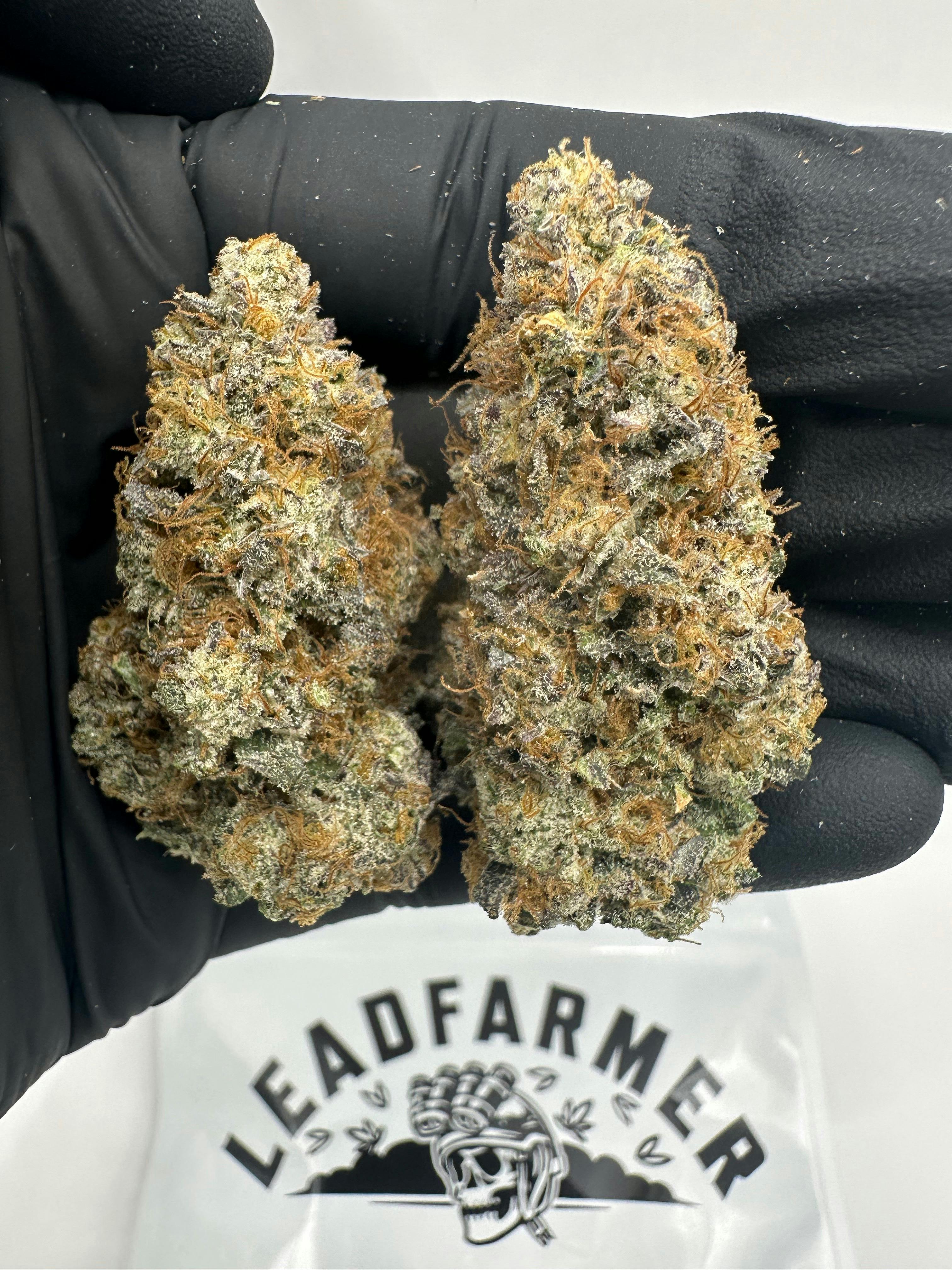 Product Leadfarmer - Zoapinator (Tiki Madman) - 3.5g - Top Shelf Exclusive Indoor Flower
