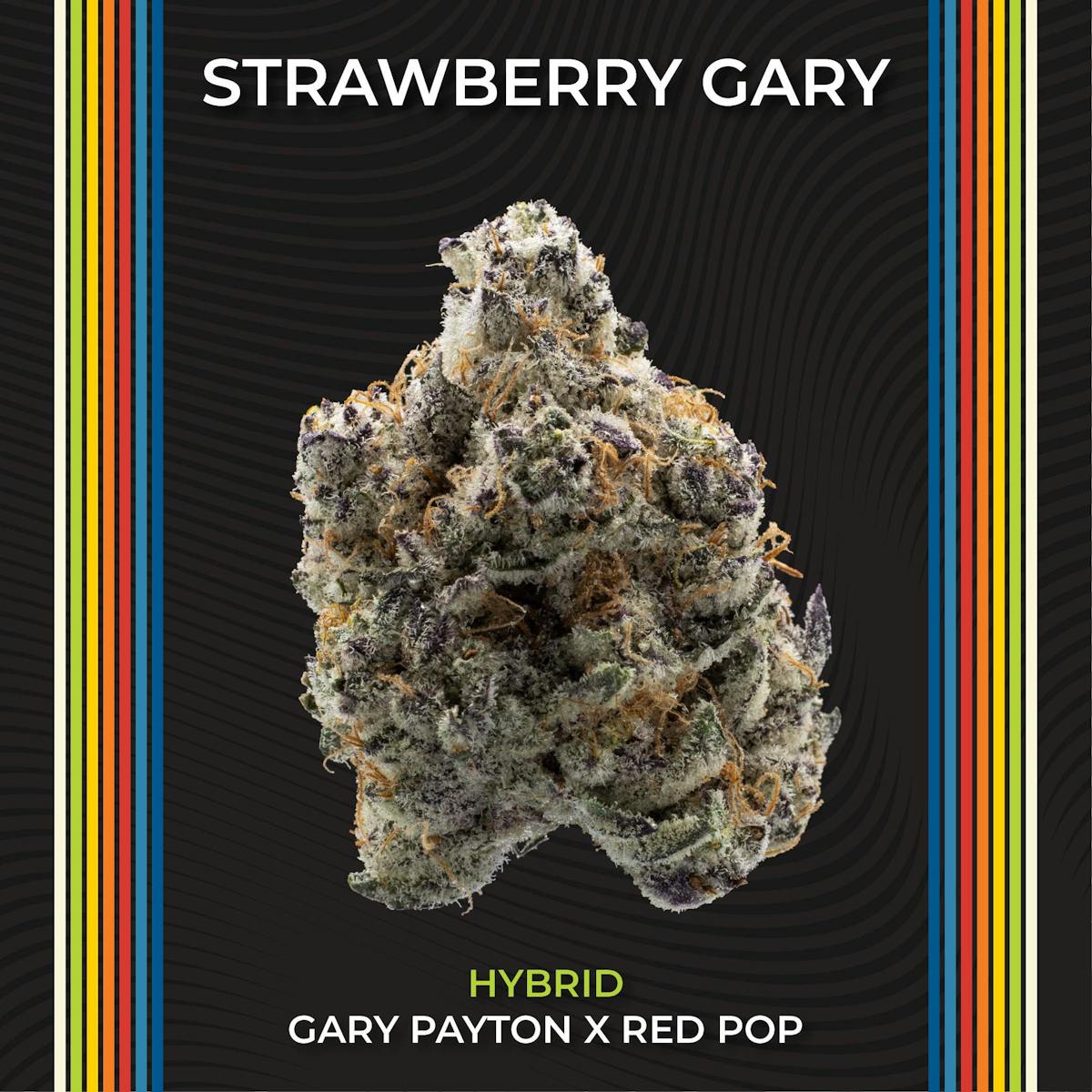 Photo of Strawberry Gary #5
