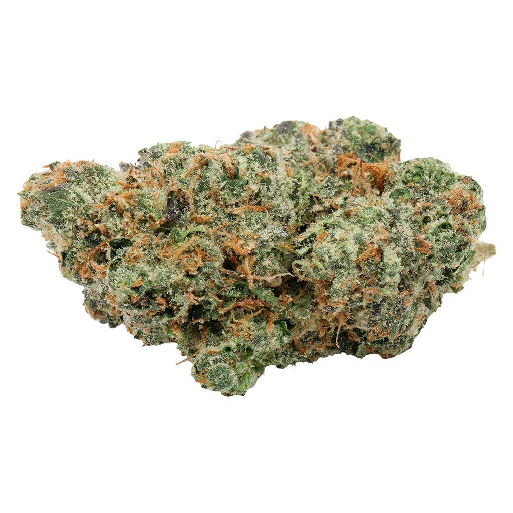 The Herbary - Nepean