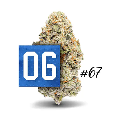 06 OG #67 - Premium Flower