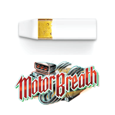 elfbar elfa kaufen Gonna have to give my overall Jungle Boys experience a C for flower and an  F for the vape pen... : r/FLMedicalTrees main image 1
