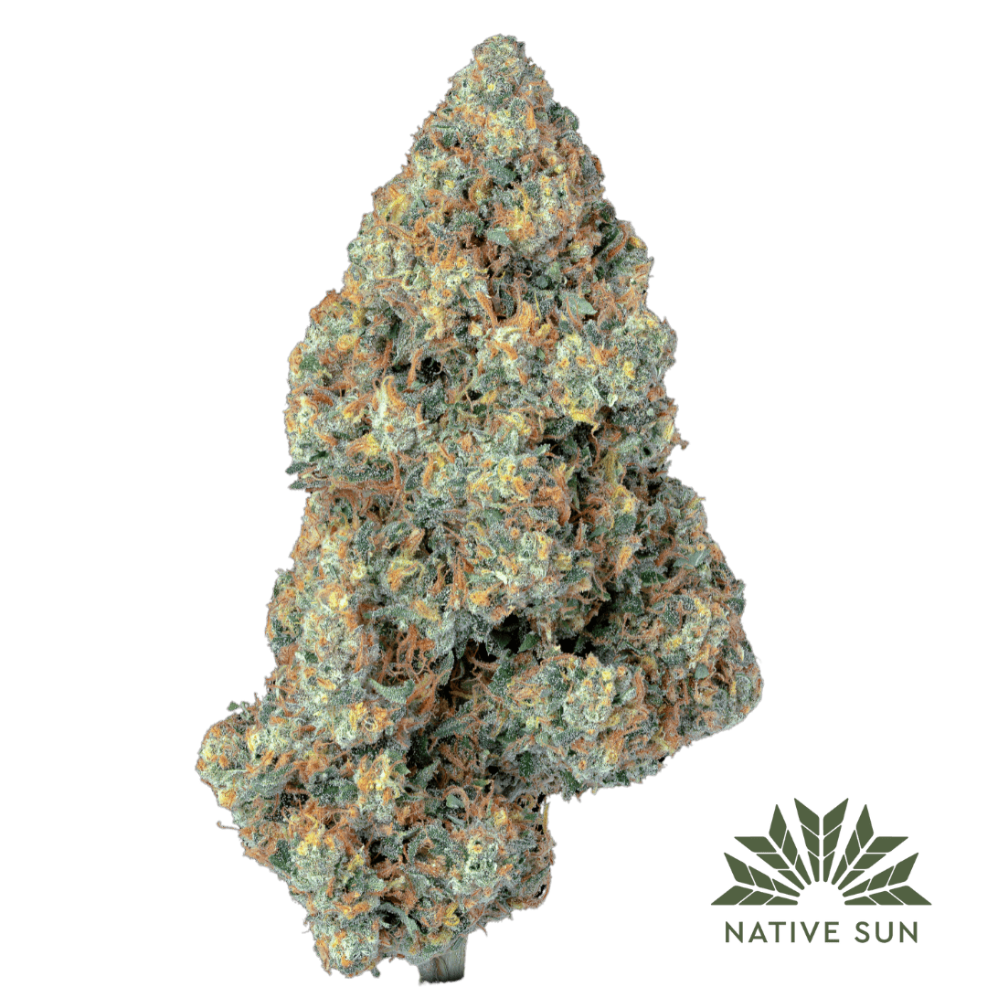 Native Sun Cough BX1 V3 | Flower | 3.5g - Native Sun Cannabis