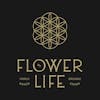 31% OFF | Flower of Life