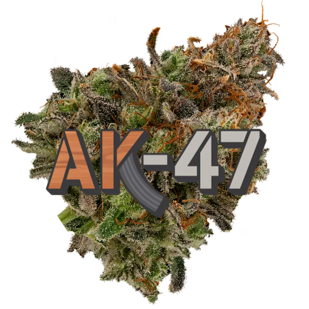 Product Aura | AK-47 | Flower