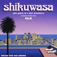Great Lakes Kush - 14g Prepack - Shikuwasa - product image at King of Budz