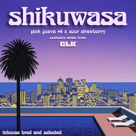 Great Lakes Kush - 14g Prepack - Shikuwasa - product image at King of Budz