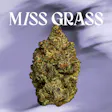Chemdawg All Times