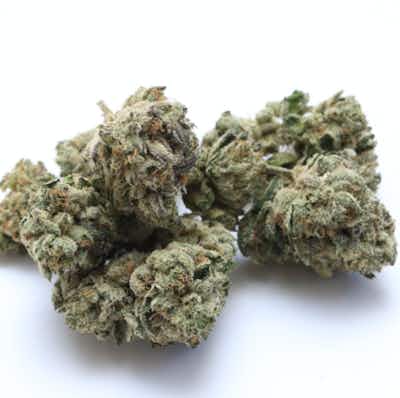 Product: Untrimmed Ounce | Blueberry Punch (Untrimmed Flower) | 28g