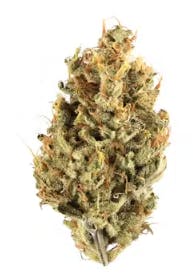 Product: Victory Lap | Mountain Temple | Flower - 3.5g