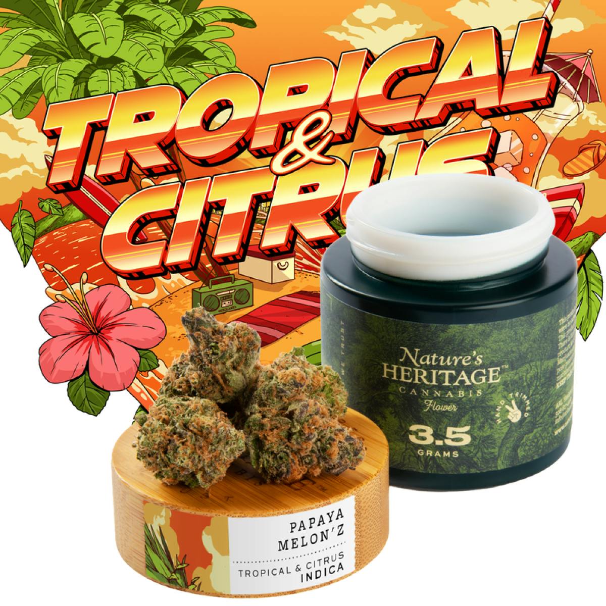 Product Papaya Melonz | Flower | 3.5g