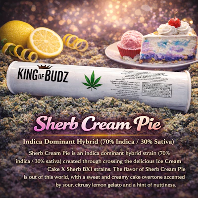 KOB - 1g Preroll - Sherb Cream Pie - PRE_ROLLS by King of Budz at King of Budz