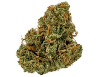 Product All-Star Haze Buds