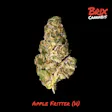Apple Fritter Lil Budz