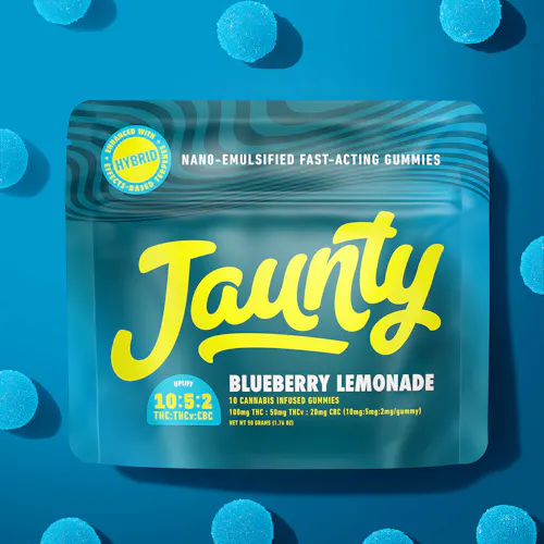 Blueberry Lemonade | Gummies | 10pk | 100mg-2