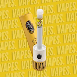 Vaporizers category image
