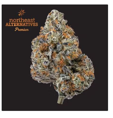 Product Punch Breath Buds