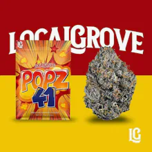 Local Grove - 3.5g Prepack - Popz 41 - FLOWER by LOCALGROVE at King of Budz