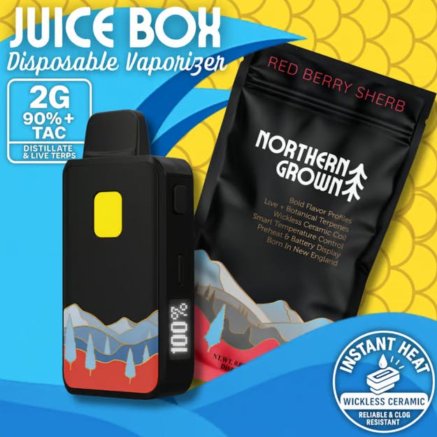 2mg disposable vape The Knock Out Vape 2g main image 1