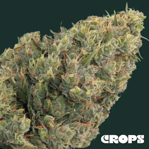 Crops | Flower | Lime OG | 28g-1